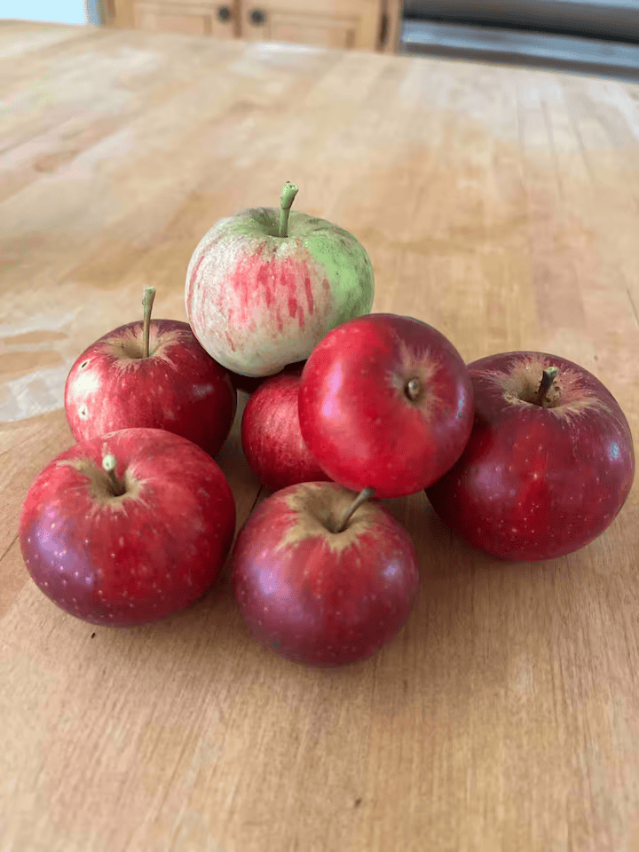 Test camping laurentides